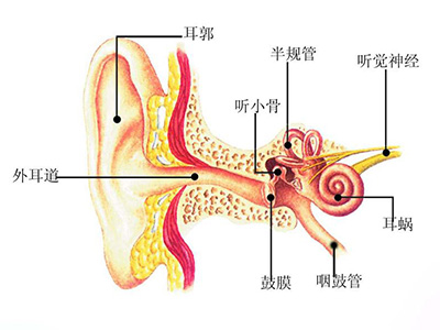 蚌埠金通實(shí)業(yè)、蚌埠冷藏車(chē)